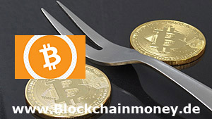 Bitcoin cash fork