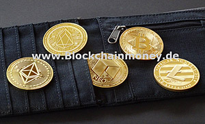 Multicurrency Wallets