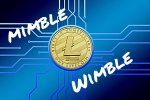 Litecoin und Mimblewimble