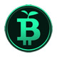 Green Bitcoin